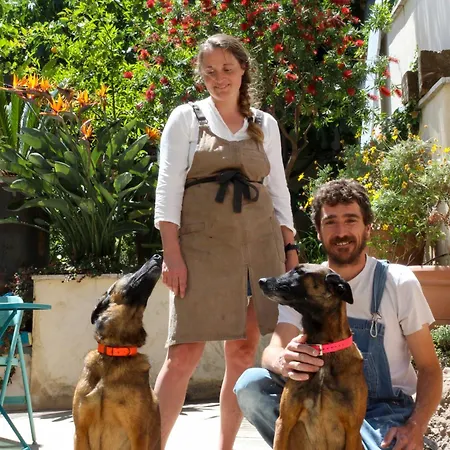 بي آند بي دو روك فليوري كان