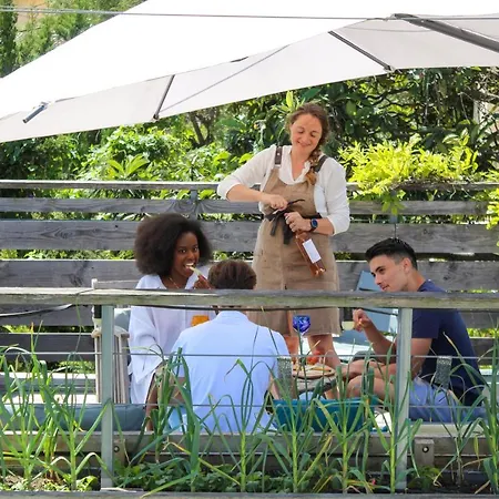 Bed & Breakfast Du Roc Fleuri Cannes