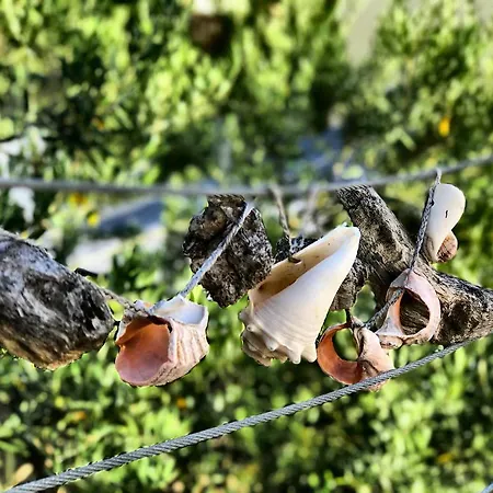 Du Roc Fleuri 3* Cannes