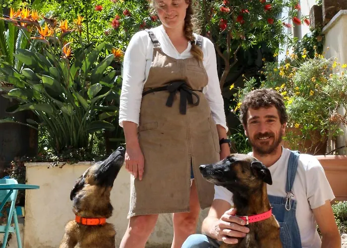 Du Roc Fleuri קאן