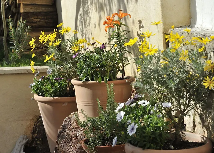 Bed and breakfast Du Roc Fleuri Cannes