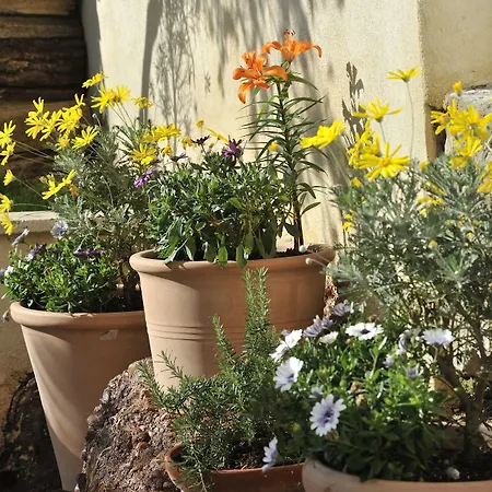לינה וארוחת בוקר Du Roc Fleuri קאן
